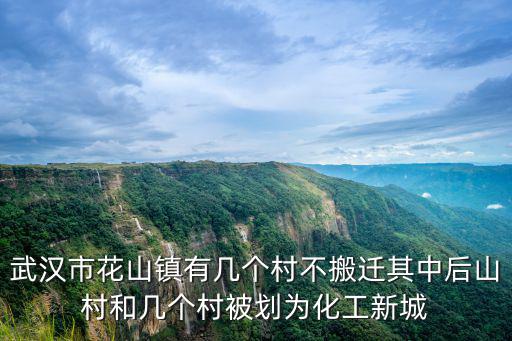 武漢市花山鎮(zhèn)有幾個村不搬遷其中后山村和幾個村被劃為化工新城