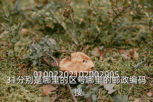 0100220210200290531分別是哪里的區號哪里的郵政編碼  搜