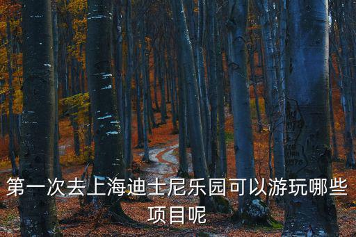 迪士尼游玩項目，上海迪士尼八個必玩項目是什么