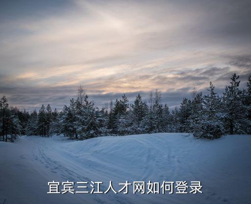 宜賓三江人才網如何登錄