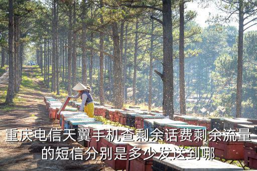 重慶電信天翼手機查剩余話費剩余流量的短信分別是多少發(fā)送到哪