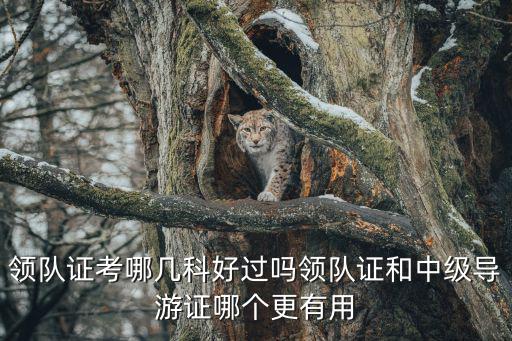 領隊證考哪幾科好過嗎領隊證和中級導游證哪個更有用