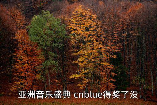 亞洲音樂盛典 cnblue得獎了沒