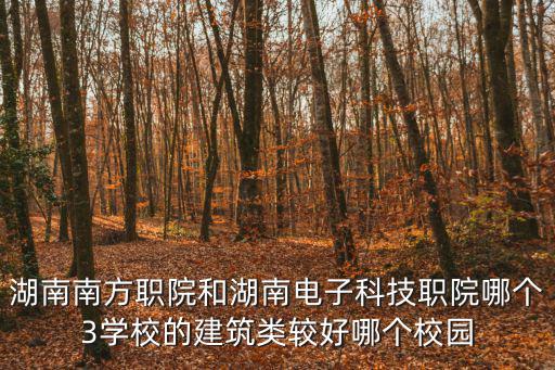 湖南南方職院和湖南電子科技職院哪個3學(xué)校的建筑類較好哪個校園