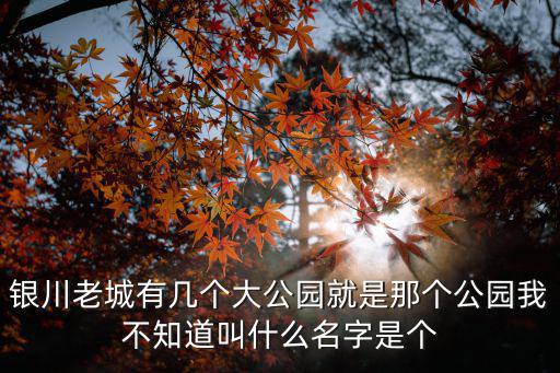銀川老城有幾個大公園就是那個公園我不知道叫什么名字是個