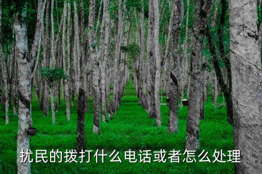 施工擾民投訴電話，晚上十點多鐘仍然施工燥聲大影響休息向那投訴
