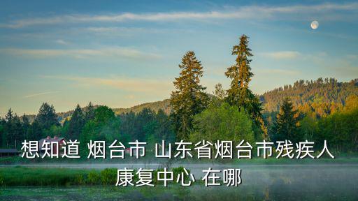想知道 煙臺市 山東省煙臺市殘疾人康復中心 在哪