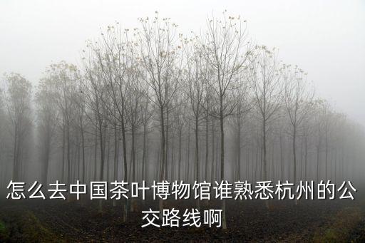 怎么去中國茶葉博物館誰熟悉杭州的公交路線啊
