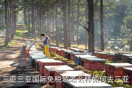 三亞三亞國際免稅城怎么樣如何去三亞
