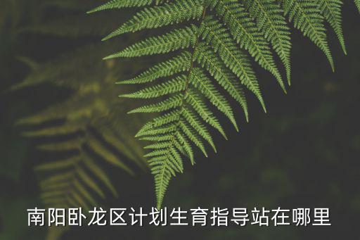南陽臥龍區計劃生育指導站在哪里