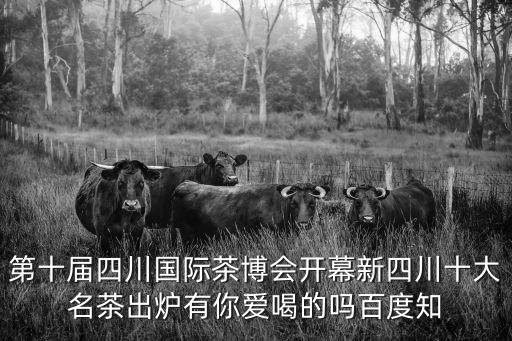 第十屆四川國際茶博會開幕新四川十大名茶出爐有你愛喝的嗎百度知