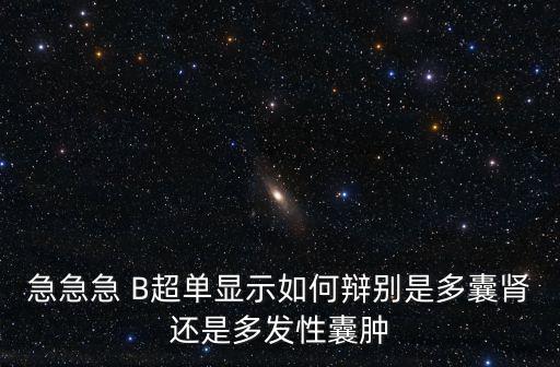 怎么看b超單，懷孕16周B超單怎么看男女