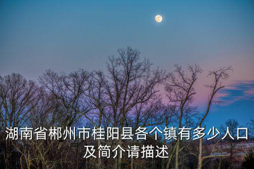 湖南省郴州市桂陽(yáng)縣各個(gè)鎮(zhèn)有多少人口及簡(jiǎn)介請(qǐng)描述