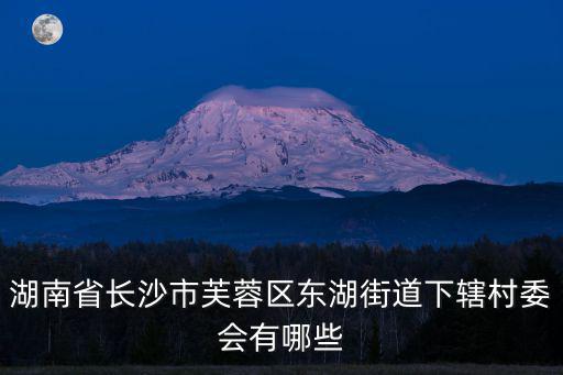湖南省長沙市芙蓉區東湖街道下轄村委會有哪些