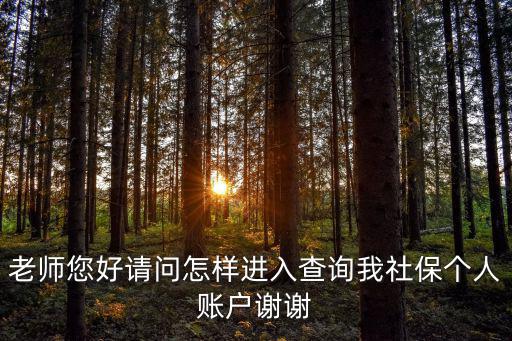 老師您好請問怎樣進入查詢我社保個人賬戶謝謝