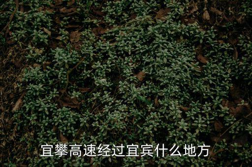 宜攀高速，宜攀高速布拖到會東多少公里