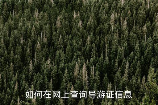 如何在網上查詢導游證信息