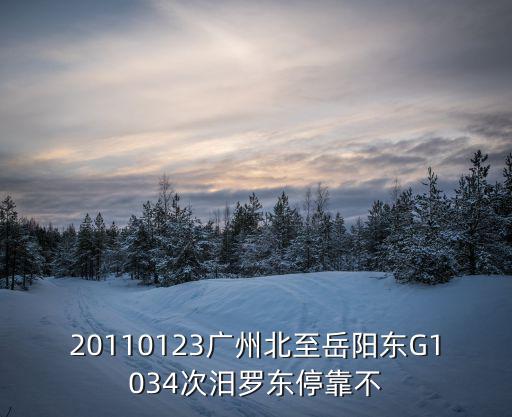 20110123廣州北至岳陽(yáng)東G1034次汨羅東停靠不