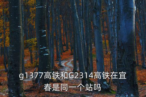 g1377高鐵和G2314高鐵在宜春是同一個站嗎