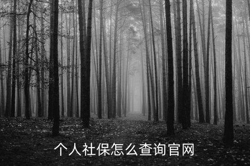 社保繳費(fèi)查詢，社保繳費(fèi)查詢方式有哪些