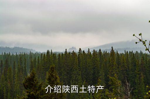 陜西特產(chǎn)有哪些，介紹陜西土特產(chǎn)