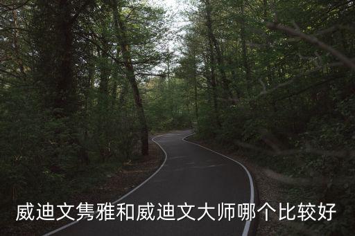 雋雅，威迪文雋雅和威迪文大師哪個比較好