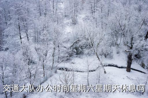 交通大隊辦公時間星期六星期天休息嗎