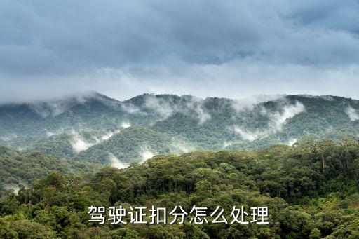 駕駛證扣分怎么處理