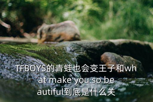 TFBOYS的青蛙也會(huì)變王子和what make you so beautiful到底是什么關(guān)