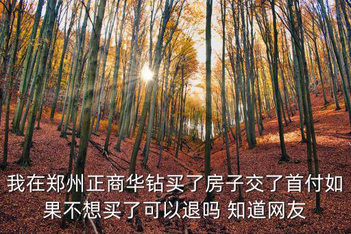 正商華鉆，我在鄭州正商華鉆買了房子交了首付如果不想買了可以退嗎 知道網友