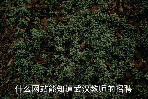 什么網(wǎng)站能知道武漢教師的招聘