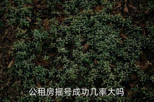 公租房搖號成功幾率大嗎