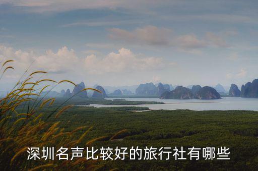 深圳名聲比較好的旅行社有哪些