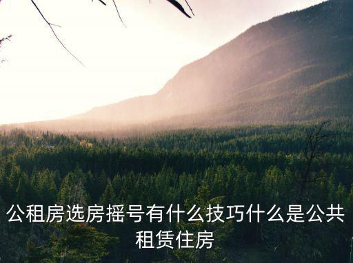 公租房選房搖號有什么技巧什么是公共租賃住房