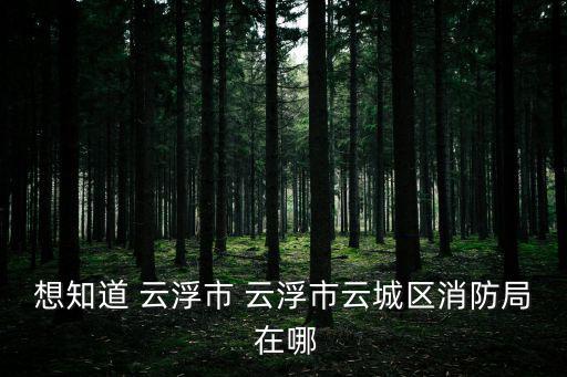 想知道 云浮市 云浮市云城區消防局 在哪