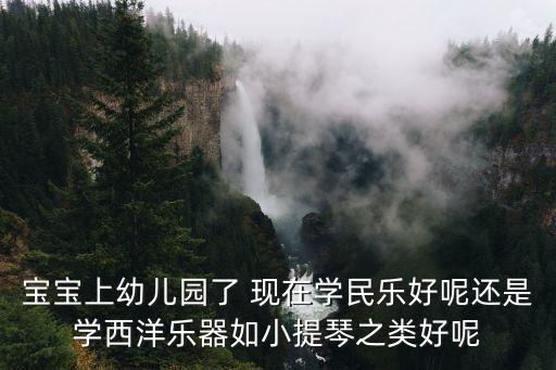 寶寶上幼兒園了 現在學民樂好呢還是學西洋樂器如小提琴之類好呢