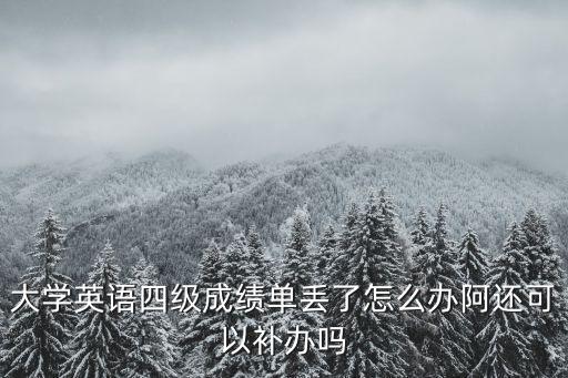 大學英語四級成績單丟了怎么辦阿還可以補辦嗎