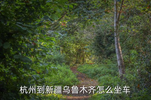 杭州到新疆烏魯木齊怎么坐車