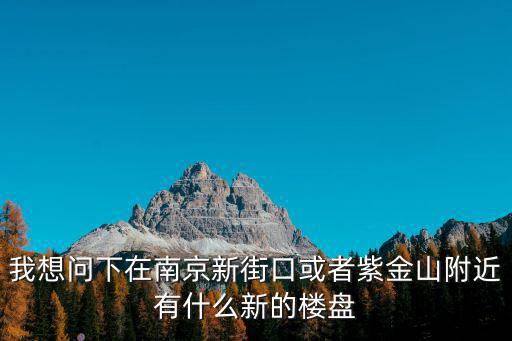 我想問下在南京新街口或者紫金山附近有什么新的樓盤