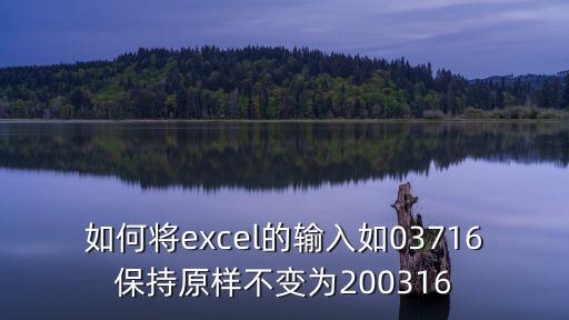如何將excel的輸入如03716保持原樣不變為200316
