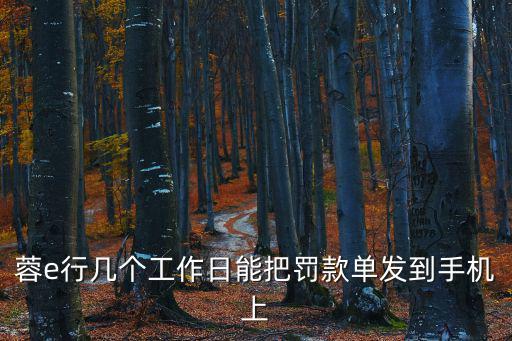 蓉e行幾個(gè)工作日能把罰款單發(fā)到手機(jī)上