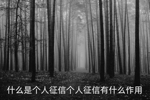 個人征信，什么是個人征信個人征信有什么作用