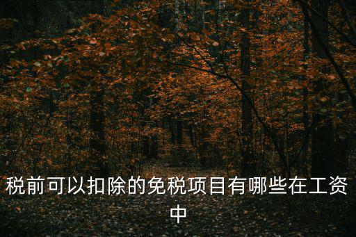 稅前可以扣除的免稅項(xiàng)目有哪些在工資中