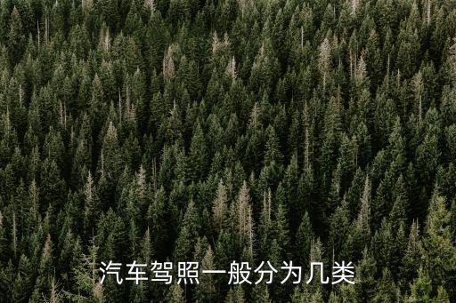 汽車駕照一般分為幾類