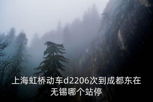 上海虹橋動車d2206次到成都東在無錫哪個站停