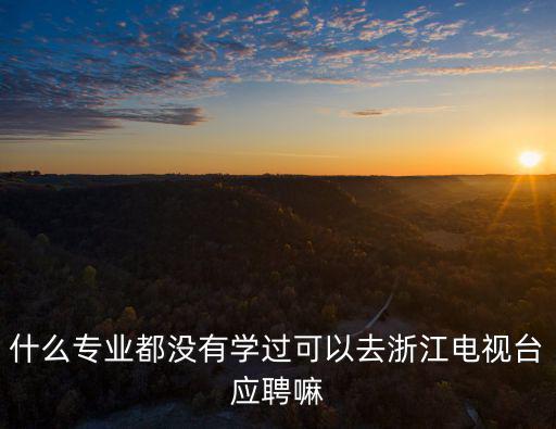什么專業都沒有學過可以去浙江電視臺應聘嘛