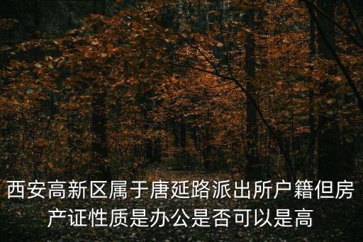 西安高新區(qū)屬于唐延路派出所戶籍但房產(chǎn)證性質(zhì)是辦公是否可以是高