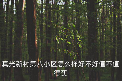 真光新村第八小區怎么樣好不好值不值得買
