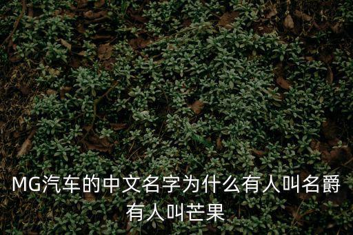 芒果汽車，想買邁騰18豪華白色在芒果汽車上面要多加3000加裝云鑰匙系統(tǒng)