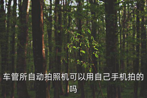 車管所自動拍照機可以用自己手機拍的嗎
